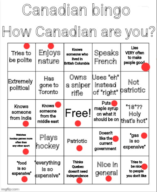 i prob got most of these because i actually live in Canada | image tagged in canadian bingo | made w/ Imgflip meme maker
