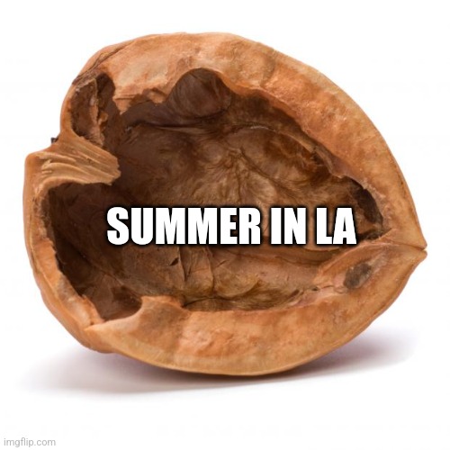 Nutshell | SUMMER IN LA | image tagged in nutshell | made w/ Imgflip meme maker