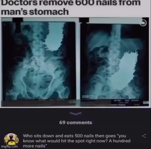 image tagged in memes | made w/ Imgflip meme maker