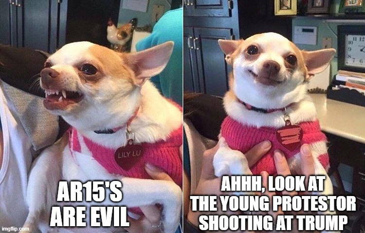 angry dog meme | AR15'S ARE EVIL; AHHH, LOOK AT THE YOUNG PROTESTOR SHOOTING AT TRUMP | image tagged in angry dog meme | made w/ Imgflip meme maker