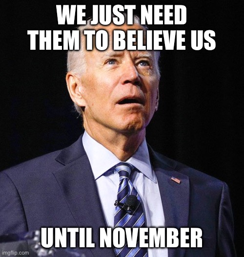 Joe Biden | WE JUST NEED THEM TO BELIEVE US UNTIL NOVEMBER | image tagged in joe biden | made w/ Imgflip meme maker