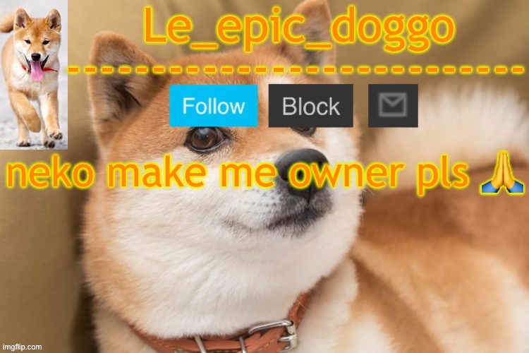 epic doggo's temp back in old fashion | neko make me owner pls 🙏 | image tagged in epic doggo's temp back in old fashion | made w/ Imgflip meme maker