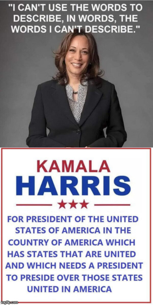 She just leaves her cult speechless | image tagged in word salad harris,who writes her material | made w/ Imgflip meme maker