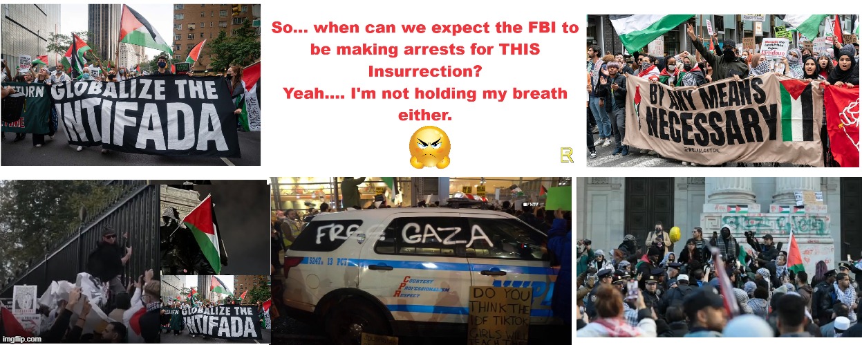 Now THIS looks like An Insurrection! | image tagged in rioters | made w/ Imgflip meme maker