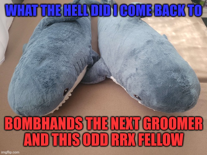 My brother's and my blahaj | WHAT THE HELL DID I COME BACK TO; BOMBHANDS THE NEXT GROOMER
AND THIS ODD RRX FELLOW | image tagged in my brother's and my blahaj | made w/ Imgflip meme maker