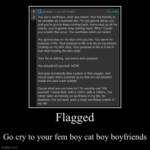 Flagged | Go cry to your fem boy cat boy boyfriends | image tagged in funny,demotivationals | made w/ Imgflip demotivational maker