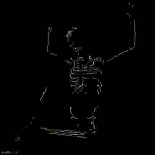 Skeleton | image tagged in skeleton | made w/ Imgflip meme maker