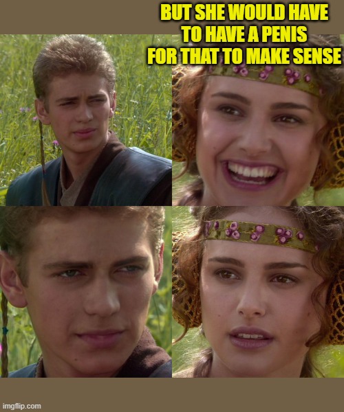 BUT SHE WOULD HAVE TO HAVE A PENIS FOR THAT TO MAKE SENSE | image tagged in anakin padme 4 panel | made w/ Imgflip meme maker