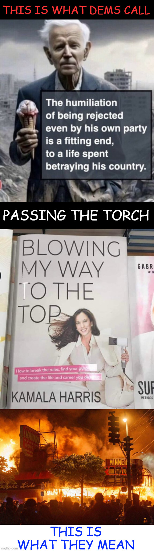 What they mean by passing the torch... Finish destroying America | THIS IS WHAT DEMS CALL; PASSING THE TORCH; THIS IS WHAT THEY MEAN | image tagged in dems,passing the torch,want to burn down,america | made w/ Imgflip meme maker