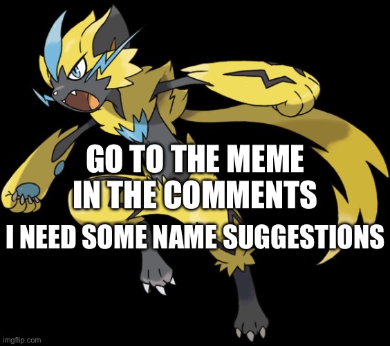 Me when I can change my username | GO TO THE MEME IN THE COMMENTS; I NEED SOME NAME SUGGESTIONS | image tagged in zeraora | made w/ Imgflip meme maker