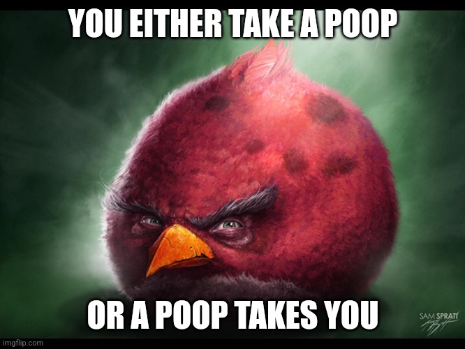 Deep philosophy | YOU EITHER TAKE A POOP; OR A POOP TAKES YOU | image tagged in realistic angry bird big red | made w/ Imgflip meme maker