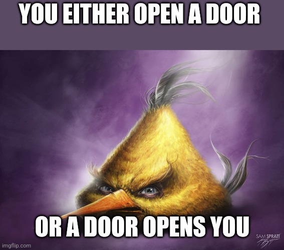 Deep philosophy | YOU EITHER OPEN A DOOR; OR A DOOR OPENS YOU | image tagged in realistic yellow angry bird | made w/ Imgflip meme maker