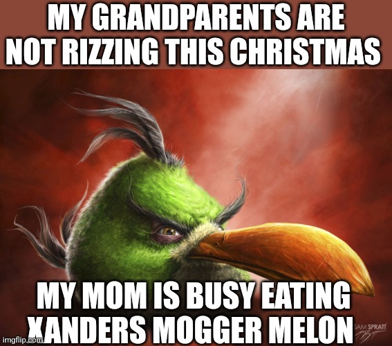 Realistic Angry Bird | MY GRANDPARENTS ARE NOT RIZZING THIS CHRISTMAS; MY MOM IS BUSY EATING XANDERS MOGGER MELON | image tagged in realistic angry bird | made w/ Imgflip meme maker