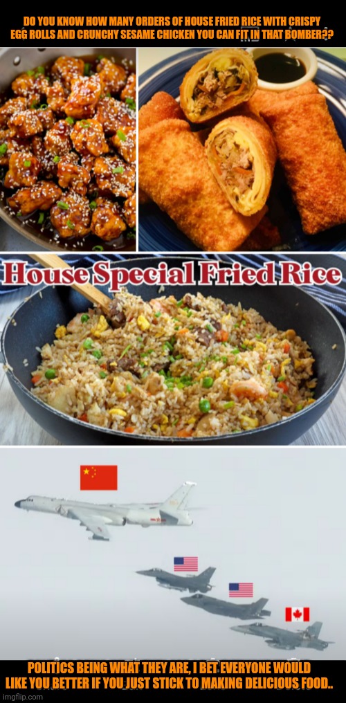 Funny | DO YOU KNOW HOW MANY ORDERS OF HOUSE FRIED RICE WITH CRISPY EGG ROLLS AND CRUNCHY SESAME CHICKEN YOU CAN FIT IN THAT BOMBER?? POLITICS BEING WHAT THEY ARE, I BET EVERYONE WOULD LIKE YOU BETTER IF YOU JUST STICK TO MAKING DELICIOUS FOOD.. | image tagged in funny,politics,china,usa,food,delicious | made w/ Imgflip meme maker