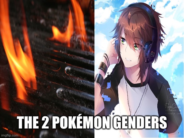 Boy or Grill | THE 2 POKÉMON GENDERS | image tagged in anime,pokemon,grill | made w/ Imgflip meme maker