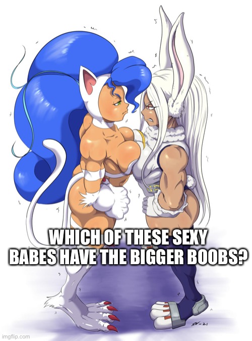 Which waifu has the bigger boob? | WHICH OF THESE SEXY BABES HAVE THE BIGGER BOOBS? | image tagged in darkstalkers,female,my hero academia,felicia,bunny | made w/ Imgflip meme maker