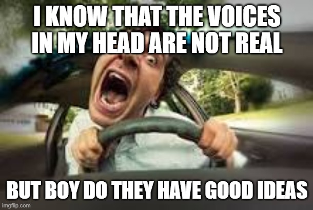 I KNOW THAT THE VOICES IN MY HEAD ARE NOT REAL BUT BOY DO THEY HAVE GOOD IDEAS | made w/ Imgflip meme maker