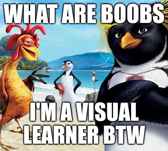 h | WHAT ARE BOOBS; I'M A VISUAL LEARNER BTW | image tagged in surf's up penguins | made w/ Imgflip meme maker