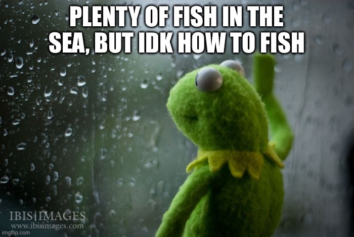 This isn’t about fish :( | PLENTY OF FISH IN THE SEA, BUT IDK HOW TO FISH | image tagged in kermit window,reletable,sad | made w/ Imgflip meme maker