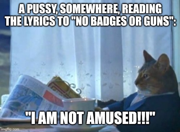 I Should Buy A Boat Cat Meme | A PUSSY, SOMEWHERE, READING THE LYRICS TO "NO BADGES OR GUNS":; "I AM NOT AMUSED!!!" | image tagged in memes,i should buy a boat cat,fuck the police,rap | made w/ Imgflip meme maker