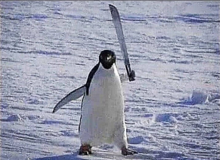 Penguin with knife Blank Meme Template