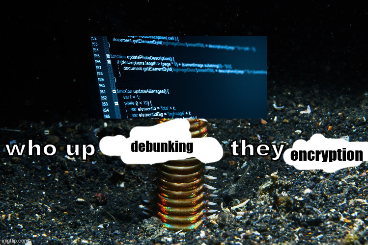 who up bobbiting they worm | debunking; encryption | image tagged in who up bobbiting they worm | made w/ Imgflip meme maker