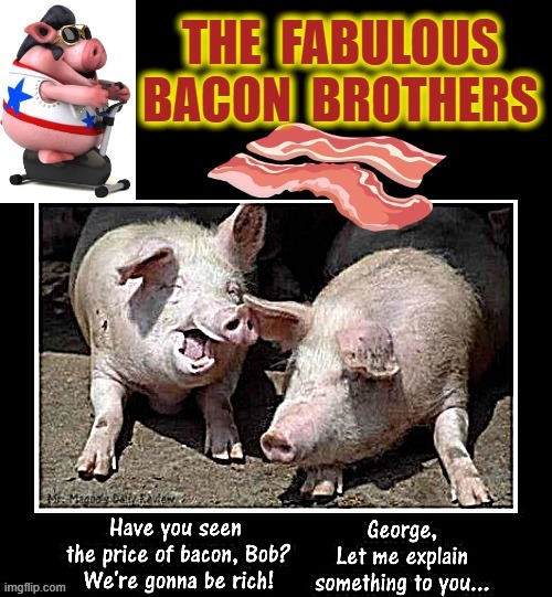 Ham head ! | image tagged in brothers | made w/ Imgflip meme maker