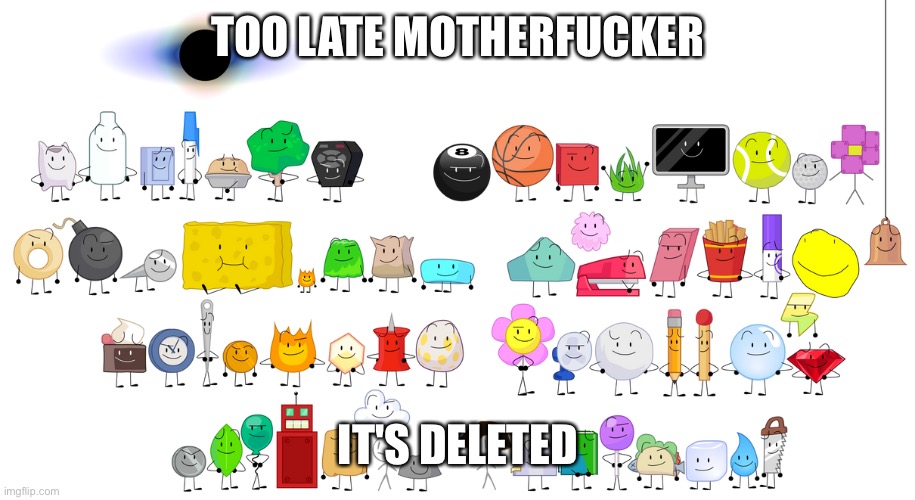 BFB Contestants | TOO LATE MOTHERFUCKER IT'S DELETED | image tagged in bfb contestants | made w/ Imgflip meme maker