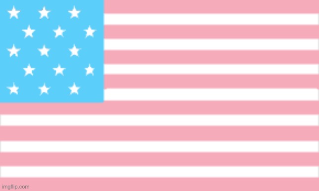 the united states of wokemerica | made w/ Imgflip meme maker