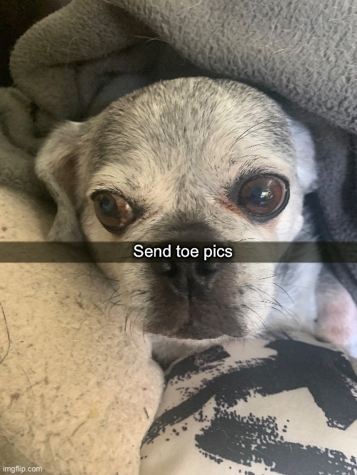 Send toe pics | made w/ Imgflip meme maker