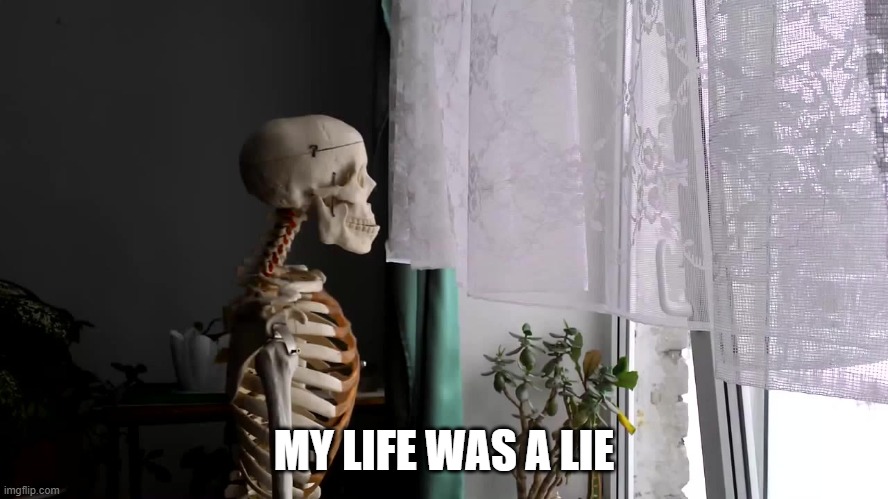 Sad Skeleton | MY LIFE WAS A LIE | image tagged in sad skeleton | made w/ Imgflip meme maker