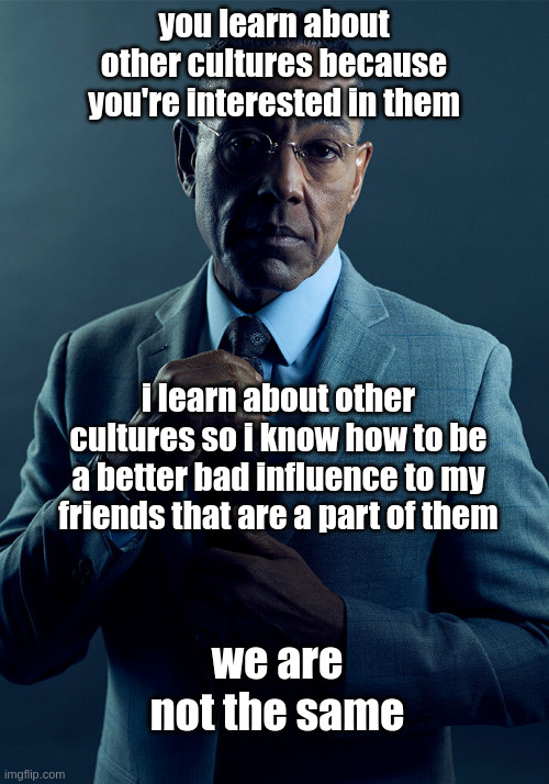 Bad Influences | you learn about other cultures because you're interested in them; i learn about other cultures so i know how to be a better bad influence to my friends that are a part of them; we are not the same | image tagged in gus fring we are not the same,culture,funny | made w/ Imgflip meme maker