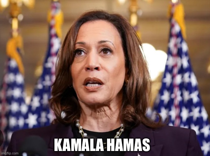 Kamala Hamas | KAMALA HAMAS | image tagged in kamala,trump,harris,election,southern border | made w/ Imgflip meme maker