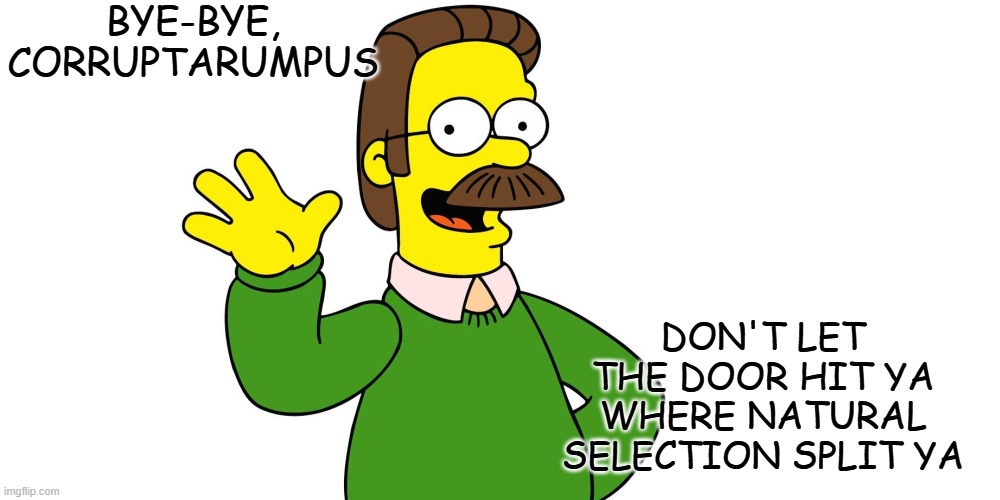 Watching Sen. Bob Menendez do the walk of shame | BYE-BYE,
CORRUPTARUMPUS; DON'T LET THE DOOR HIT YA WHERE NATURAL SELECTION SPLIT YA | image tagged in ned flanders wave | made w/ Imgflip meme maker