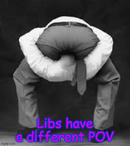 Head up your ass | Libs have a different POV | image tagged in head up your ass | made w/ Imgflip meme maker