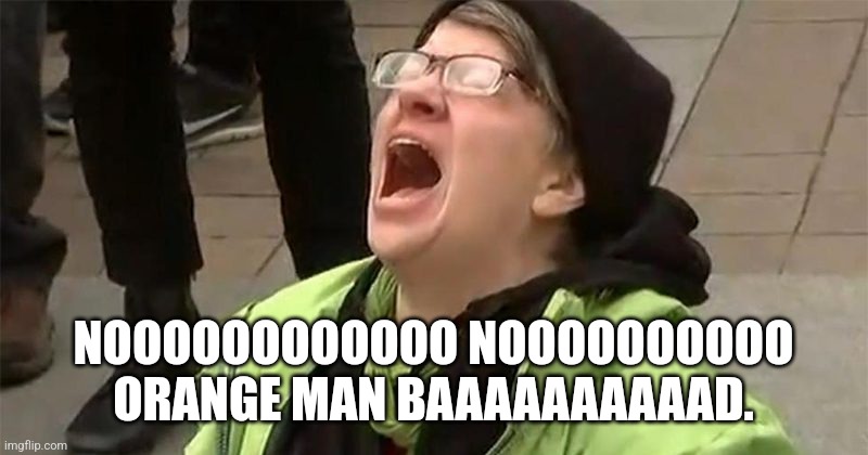 crying liberal | NOOOOOOOOOOOO NOOOOOOOOOO ORANGE MAN BAAAAAAAAAAD. | image tagged in crying liberal | made w/ Imgflip meme maker