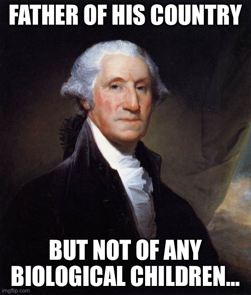 Father of his country… | FATHER OF HIS COUNTRY; BUT NOT OF ANY BIOLOGICAL CHILDREN… | image tagged in memes,george washington | made w/ Imgflip meme maker