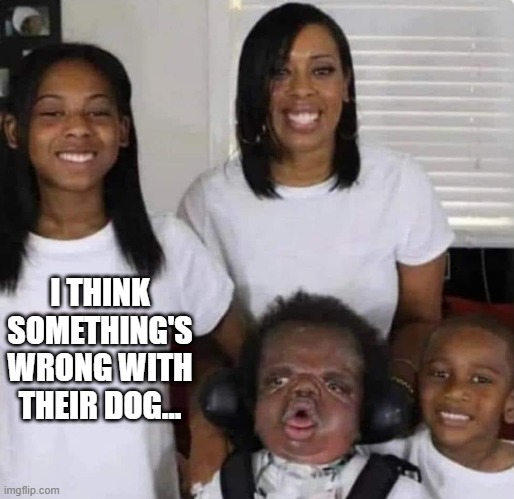 Poor Doggie | I THINK SOMETHING'S WRONG WITH THEIR DOG... | image tagged in dark humor | made w/ Imgflip meme maker