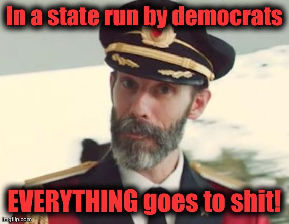 Captain Obvious | In a state run by democrats EVERYTHING goes to shit! | image tagged in captain obvious | made w/ Imgflip meme maker