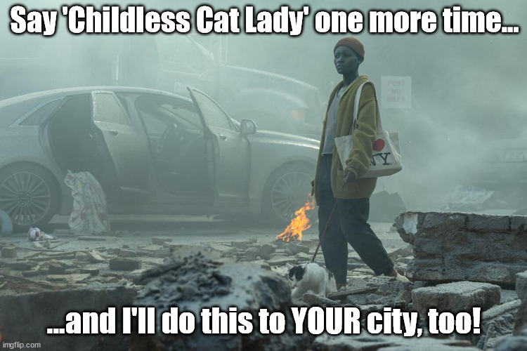 Say 'childless cat lady' one more time...I dare you | Say 'Childless Cat Lady' one more time... ...and I'll do this to YOUR city, too! | image tagged in vance,cat lady | made w/ Imgflip meme maker