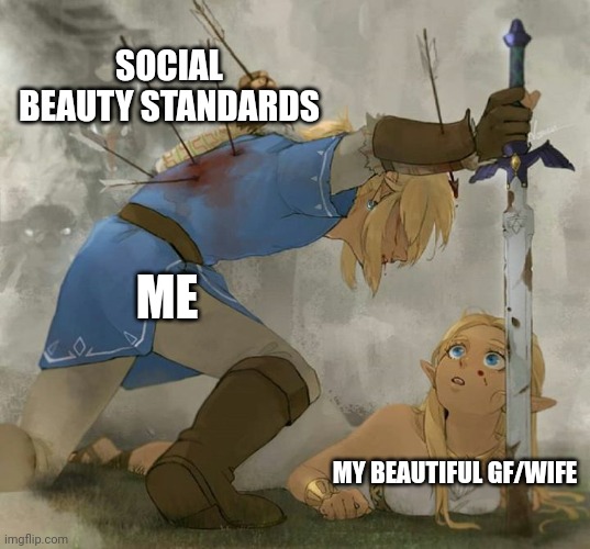 Link and zelda | SOCIAL BEAUTY STANDARDS; ME; MY BEAUTIFUL GF/WIFE | image tagged in link and zelda | made w/ Imgflip meme maker