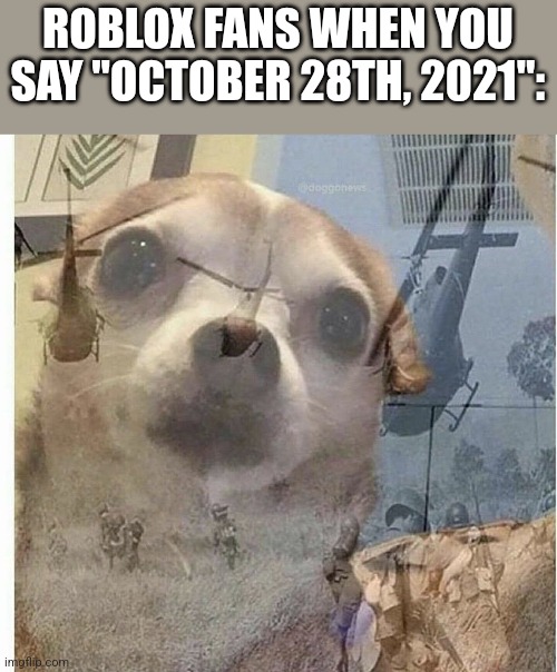 if ykyk | ROBLOX FANS WHEN YOU SAY "OCTOBER 28TH, 2021": | image tagged in ptsd chihuahua | made w/ Imgflip meme maker