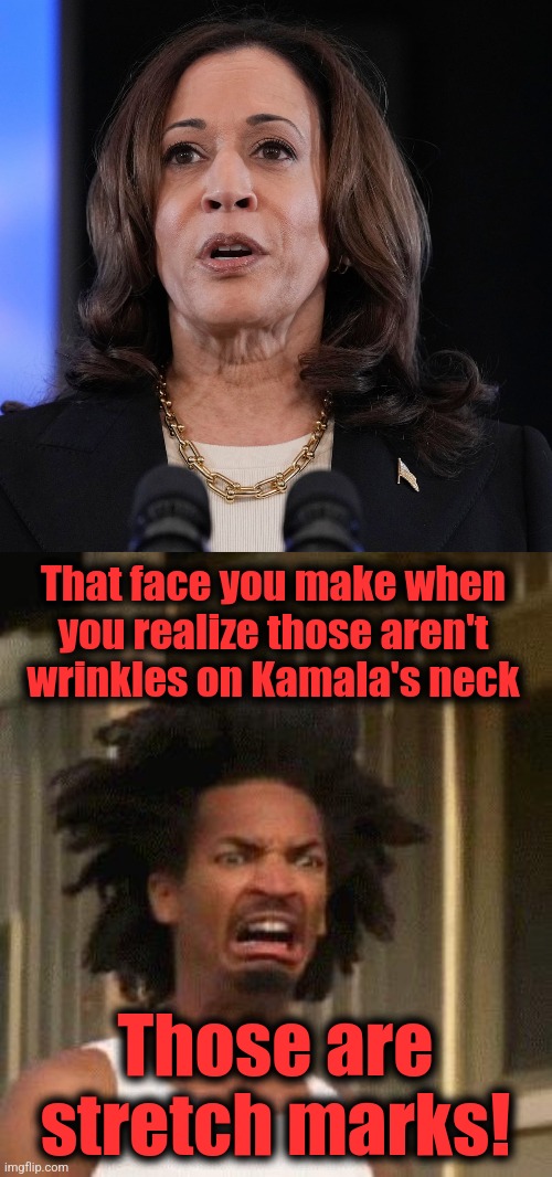 OMG! | That face you make when
you realize those aren't wrinkles on Kamala's neck; Those are stretch marks! | image tagged in disgusted face,memes,kamala harris,wrinkles,stretch marks,democrats | made w/ Imgflip meme maker