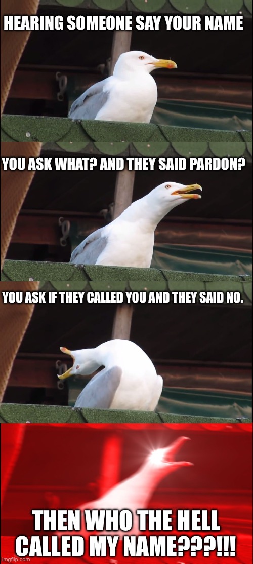 I need to follow the voices in my head | HEARING SOMEONE SAY YOUR NAME; YOU ASK WHAT? AND THEY SAID PARDON? YOU ASK IF THEY CALLED YOU AND THEY SAID NO. THEN WHO THE HELL CALLED MY NAME???!!! | image tagged in memes,inhaling seagull,funny | made w/ Imgflip meme maker