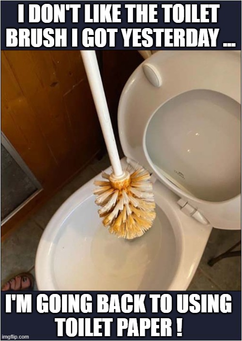 Stick To What You Know ! | I DON'T LIKE THE TOILET
 BRUSH I GOT YESTERDAY ... I'M GOING BACK TO USING
TOILET PAPER ! | image tagged in toilet,brush,toilet paper,dark humour | made w/ Imgflip meme maker