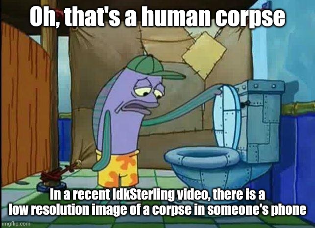 spongebob oh that's real nice | Oh, that's a human corpse; In a recent IdkSterling video, there is a low resolution image of a corpse in someone's phone | image tagged in spongebob oh that's real nice | made w/ Imgflip meme maker