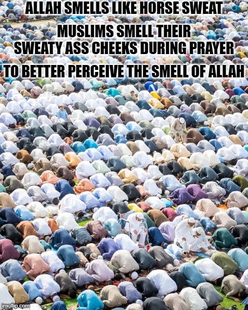 Classification of Hadith 15 | ALLAH SMELLS LIKE HORSE SWEAT; MUSLIMS SMELL THEIR SWEATY ASS CHEEKS DURING PRAYER; TO BETTER PERCEIVE THE SMELL OF ALLAH | image tagged in judaism,christianity,religion,atheist,islam,muslims | made w/ Imgflip meme maker