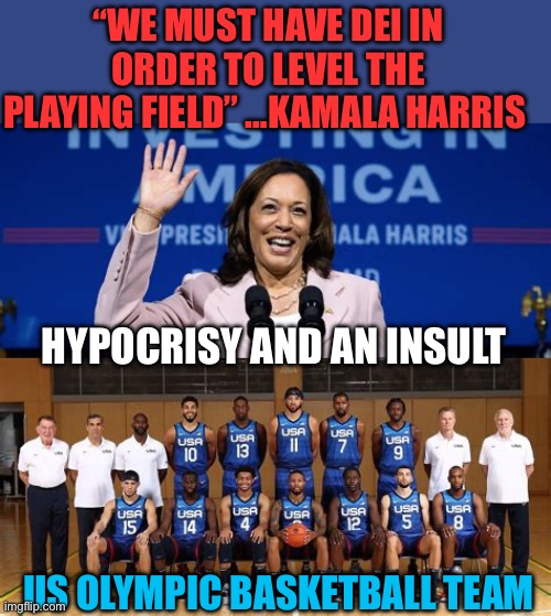 Meritocracy vs DEI. | “WE MUST HAVE DEI IN ORDER TO LEVEL THE PLAYING FIELD” …KAMALA HARRIS; HYPOCRISY AND AN INSULT; US OLYMPIC BASKETBALL TEAM | image tagged in gifs,democrats,kamala harris,racism | made w/ Imgflip meme maker
