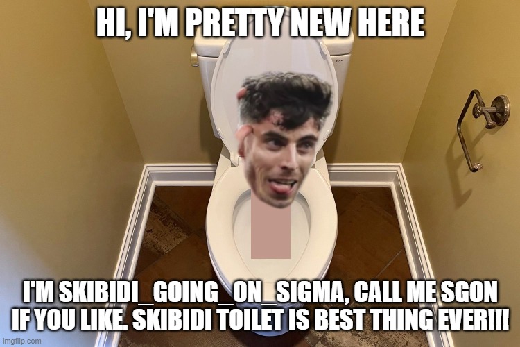 SKIBIDI HAVERTZ | HI, I'M PRETTY NEW HERE; I'M SKIBIDI_GOING_ON_SIGMA, CALL ME SGON IF YOU LIKE. SKIBIDI TOILET IS BEST THING EVER!!! | image tagged in skibidi havertz | made w/ Imgflip meme maker