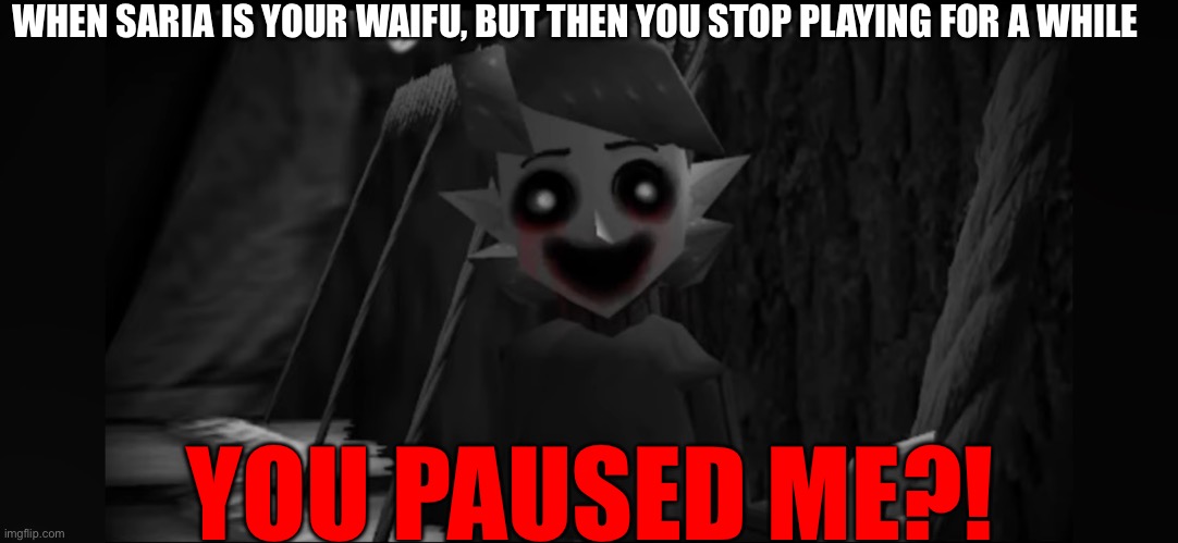 Gravity Falls, anyone? | WHEN SARIA IS YOUR WAIFU, BUT THEN YOU STOP PLAYING FOR A WHILE; YOU PAUSED ME?! | image tagged in waifu,legend of zelda,scary | made w/ Imgflip meme maker